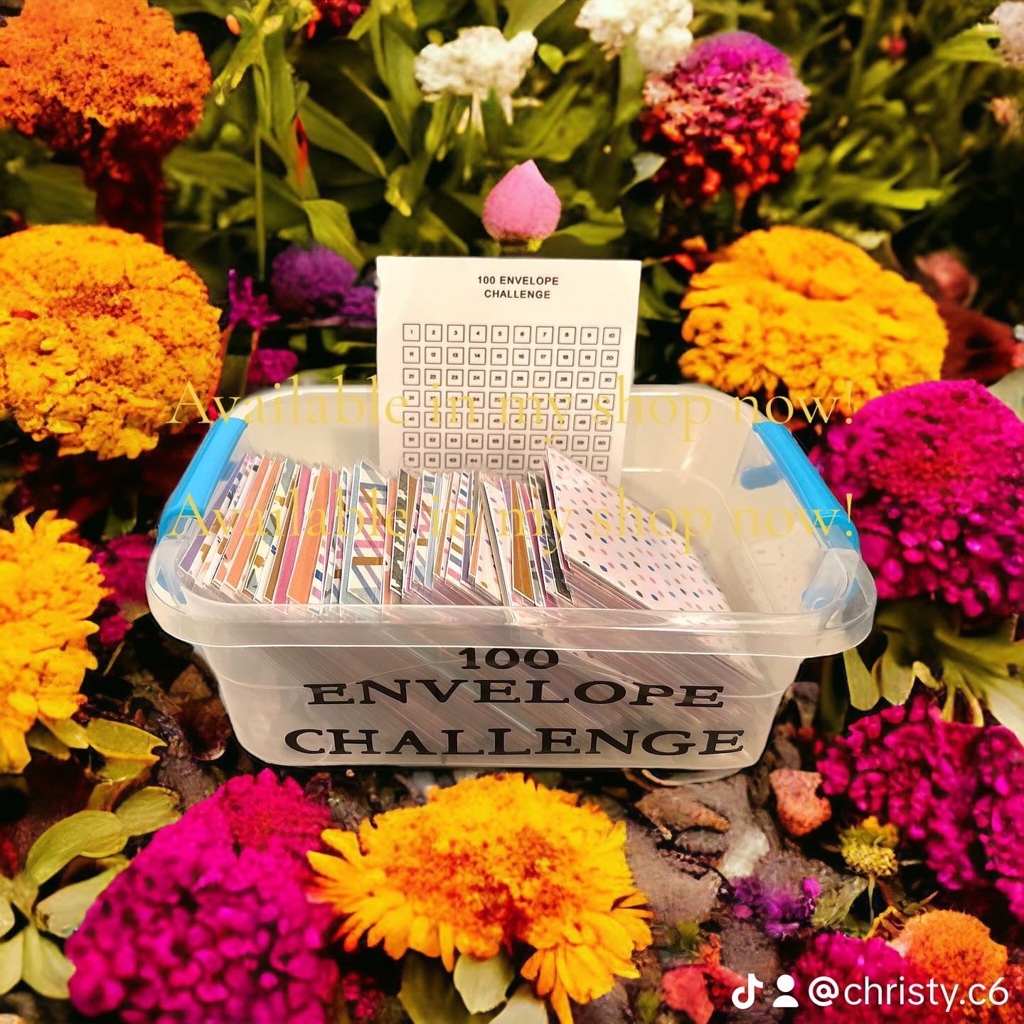 100 Envelope Challenge Box