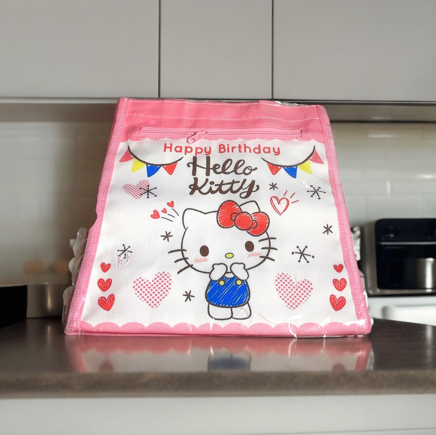 Lunch Bag with Large Interior and a Front Pocket