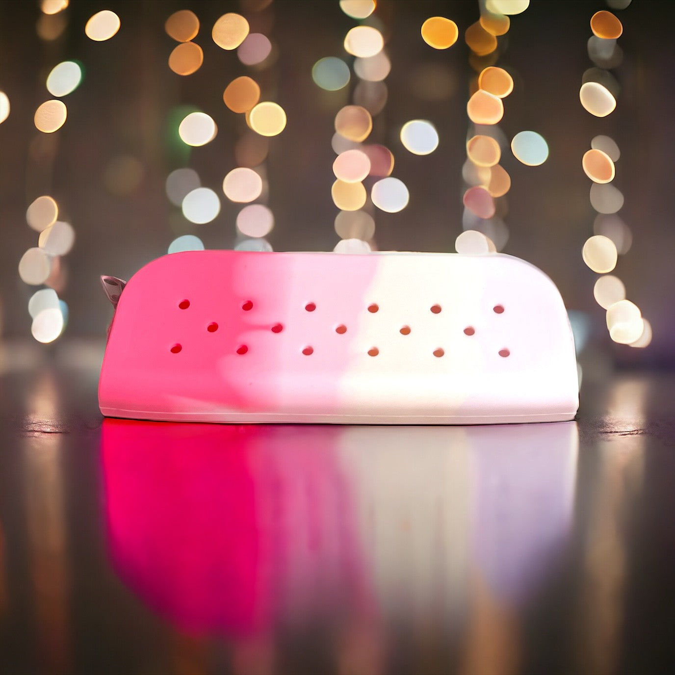 Croc Holder Great for the Beach or has Pencil/Pen Bag