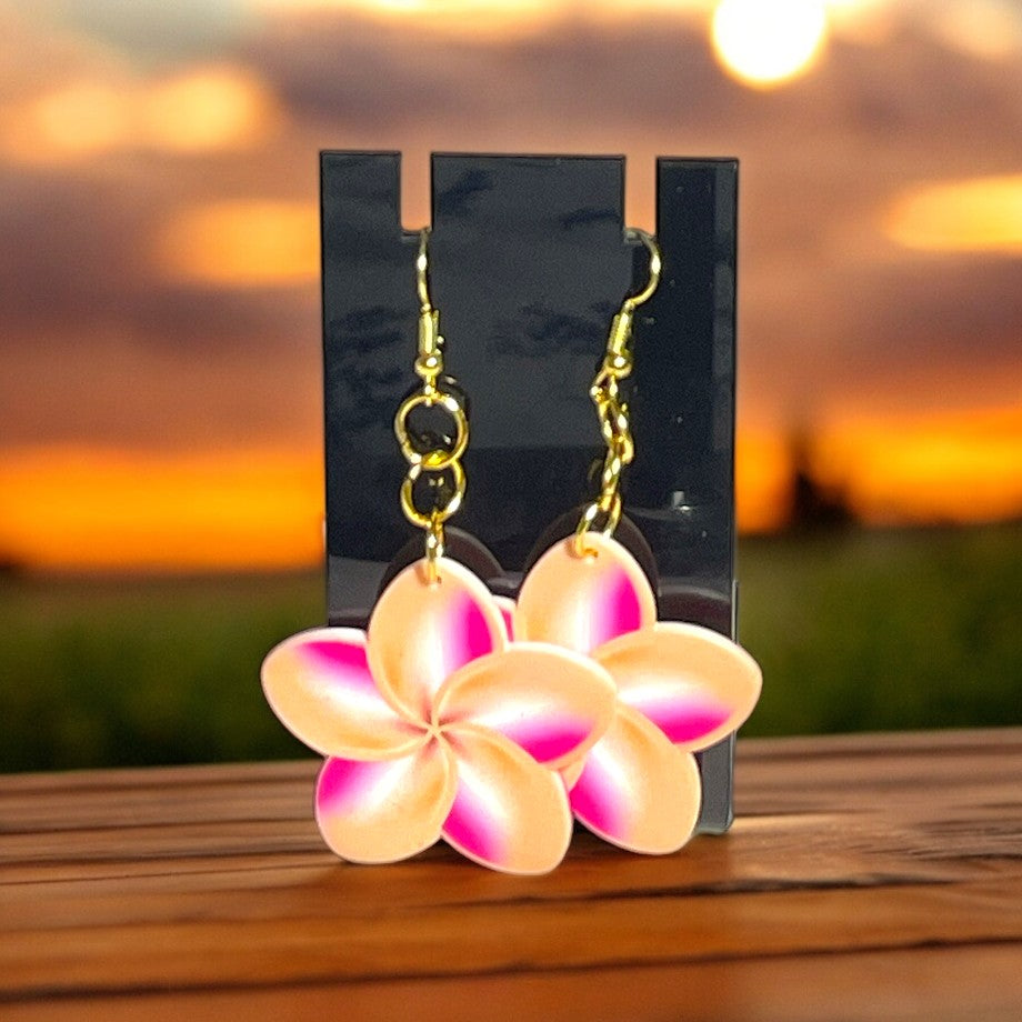 Star with Swirl Design Earrings